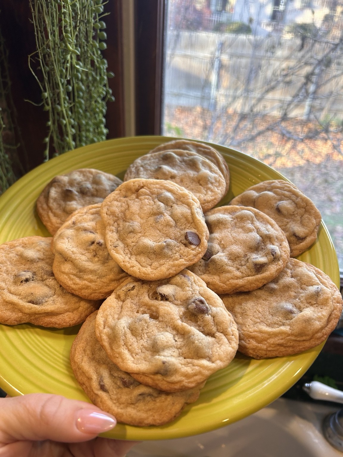 Chocolate chip cookies on yellow plate